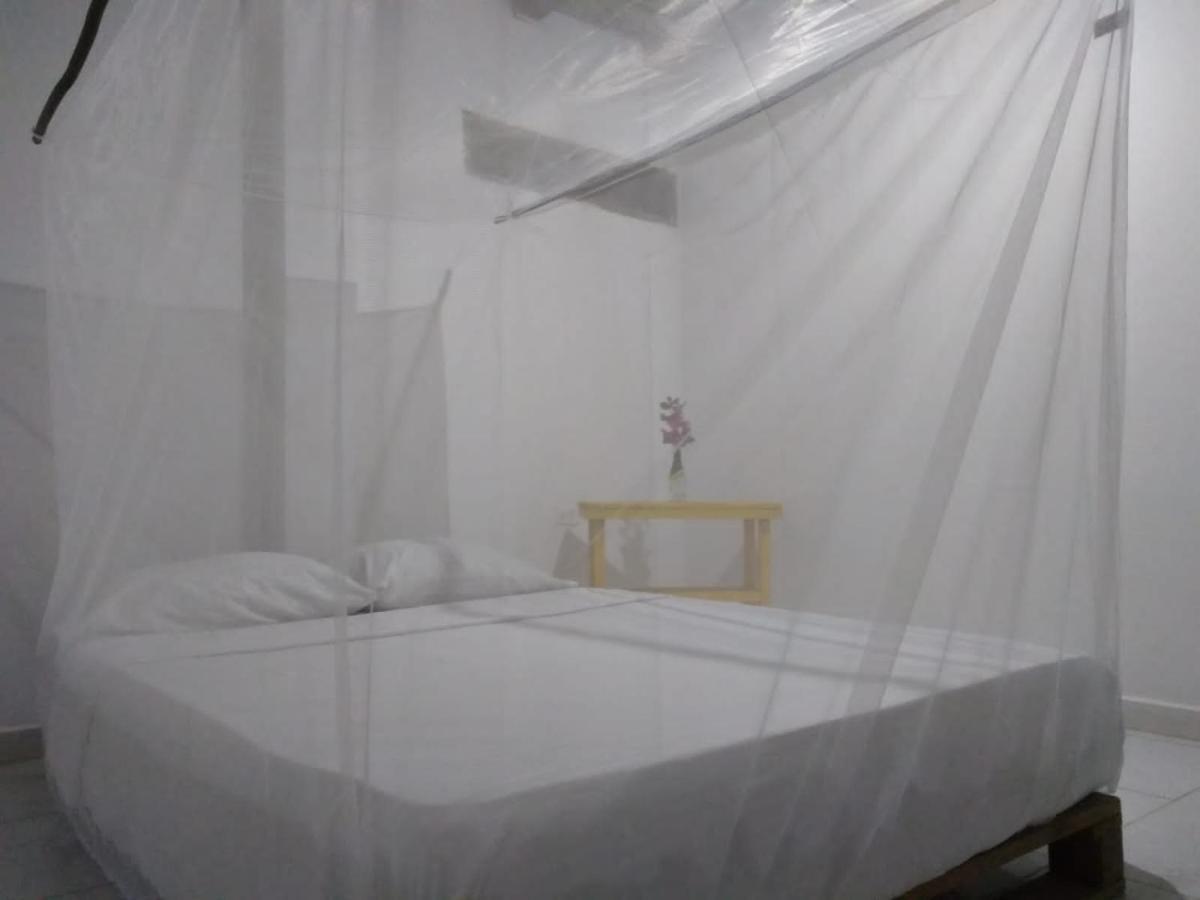 Hostel In פאלומינו מראה חיצוני תמונה
